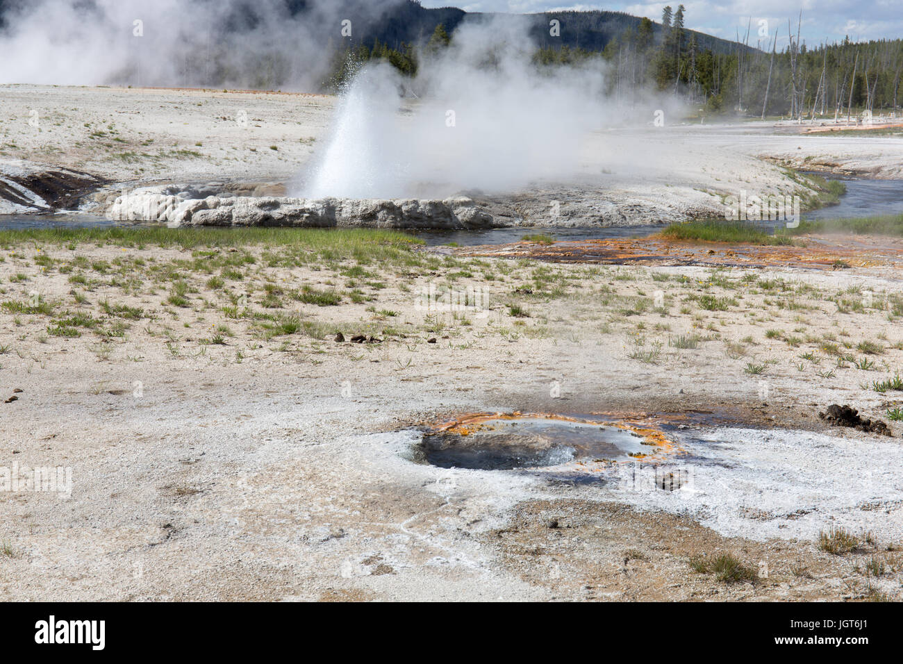 Cliff Geyser dans le bassin de sable noir, Upper Geyser Basin, Parc National de Yellowstone Banque D'Images