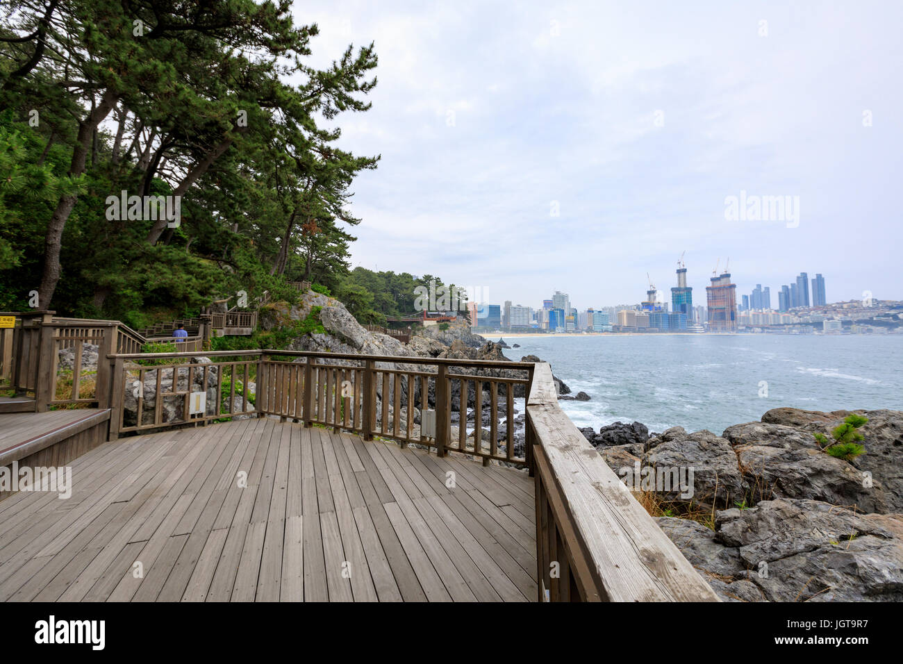 Jun 21, 2017 Dongbaekseom(Île de camélias) coast walkway à Busan, Corée du Sud Banque D'Images