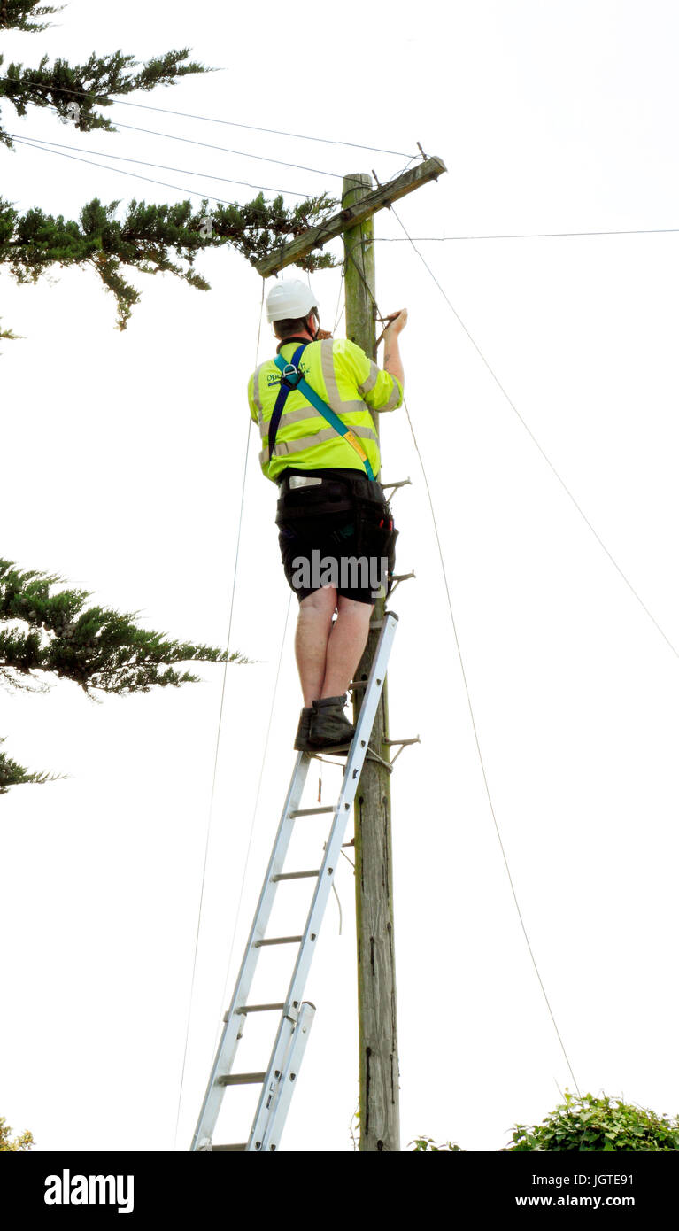 BT, atteindre, British Telecom, ingénieur, travaillant, poteau télégraphique, Norfolk, Angleterre, Royaume-Uni Banque D'Images