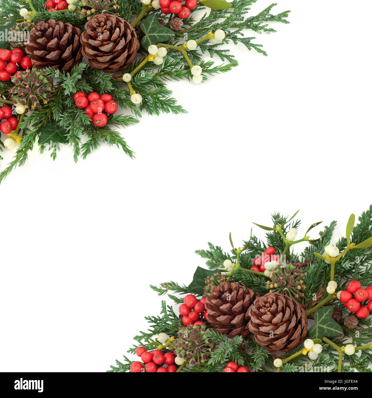 Fond D Hiver Et De Noel Avec Le Houx Le Gui De La Frontiere De Lierre De Cedre Et De Genevrier Branches De Feuilles Et Des Pommes De Pin Sur Un Blanc Photo