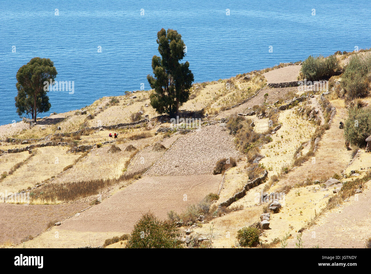Isla Taquile - Lago Titicaca - Perú ATENÇÃO : NÃO PODEMOS REPRESENTAR ESSA IMAGEM FORA DA AMERICA LATINA Banque D'Images