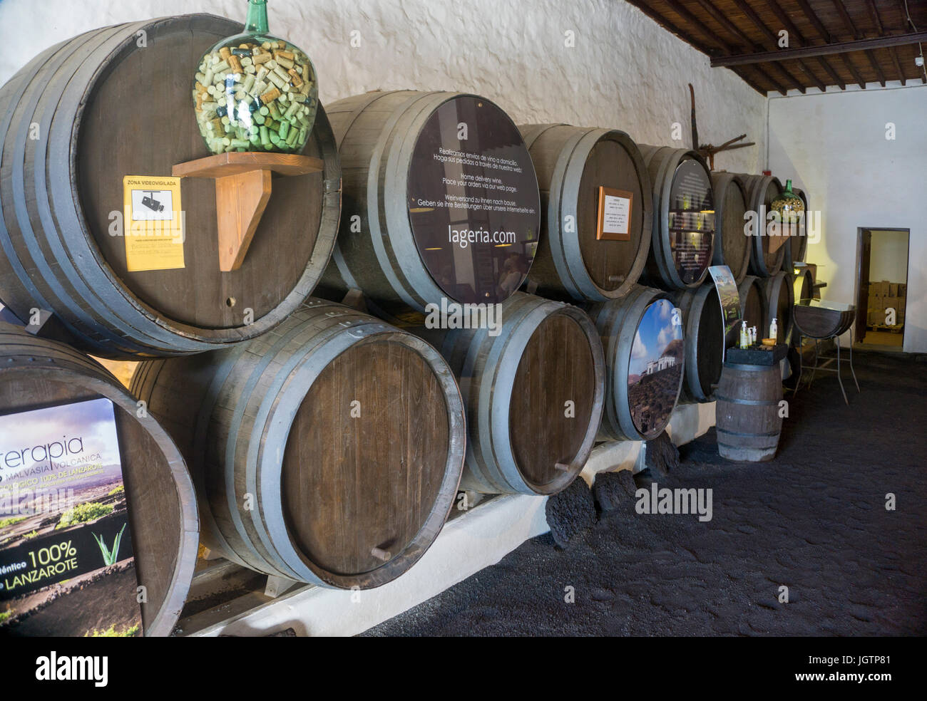 Bodega La Geria, dégustation de vin et de vin pour la vente, La Geria, Lanzarote, îles Canaries, Espagne, Europe Banque D'Images