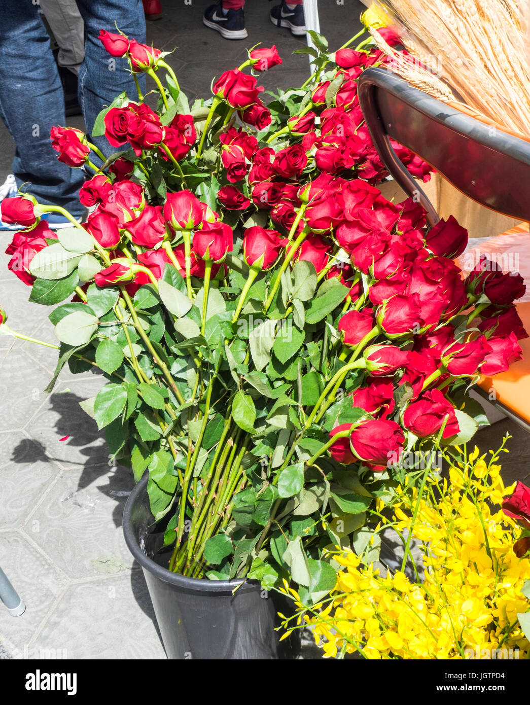 Un bouquet de roses rouges sur Sant Jordi 24, Barcelone, Espagne. Banque D'Images