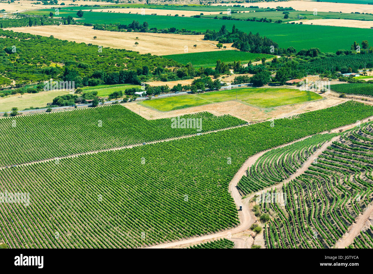 Vue panoramique sur le vignoble et à la vallée de Colchagua, Chili Banque D'Images