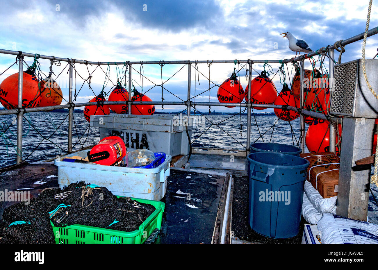 Bateau de pêche commerciale Rand nordique au large de l'île de Vancouver, BC, Canada, la pêche de crevettes (comme la crevette, mais de plus grande taille). Terrasse arrière où sont stockés les pièges wh Banque D'Images