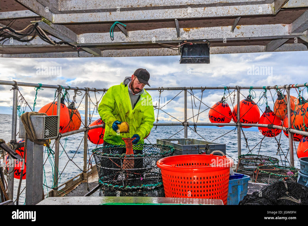 Bateau de pêche commerciale Rand nordique au large de l'île de Vancouver, BC, Canada, la pêche de crevettes (comme la crevette, mais de plus grande taille). Le remplissage de l'appât par un manchon mi Banque D'Images