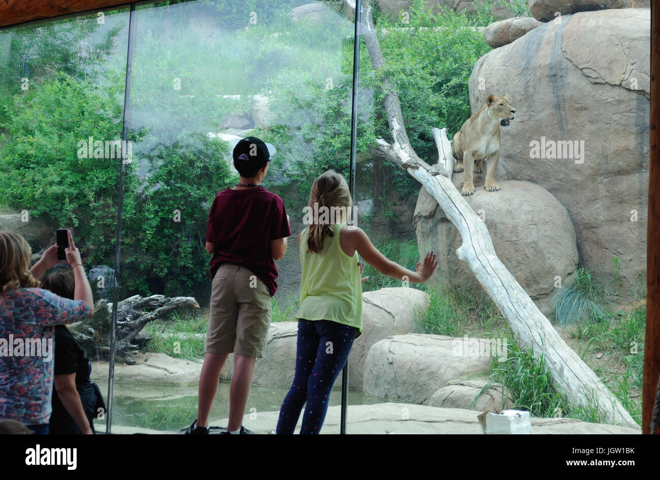 Zoo de Colorado Springs, États-Unis Banque D'Images
