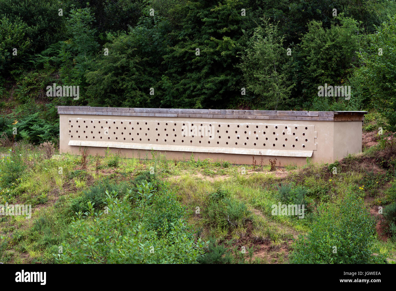 Site de nidification artificiels pour le sable Martins, Ryton Pools, Warwickshire, England, UK Banque D'Images