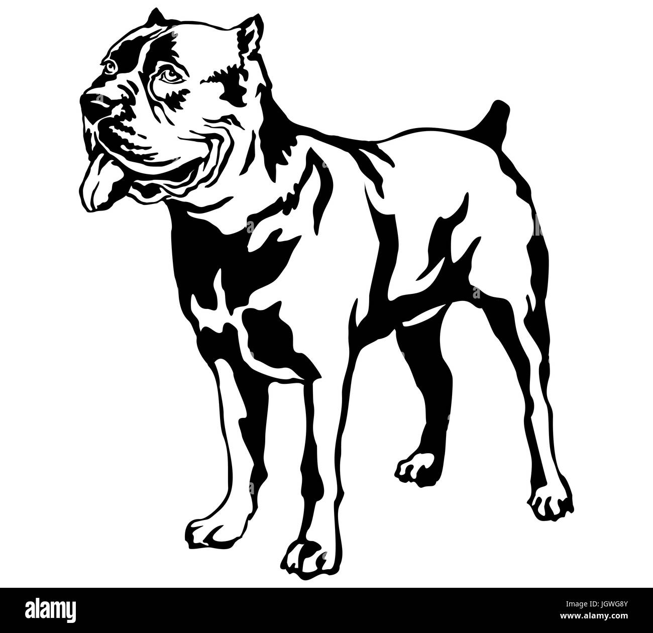 Portrait de décoration de l'article profil de chien cane corso italiano vector illustration en couleur noir isolé sur fond blanc Illustration de Vecteur
