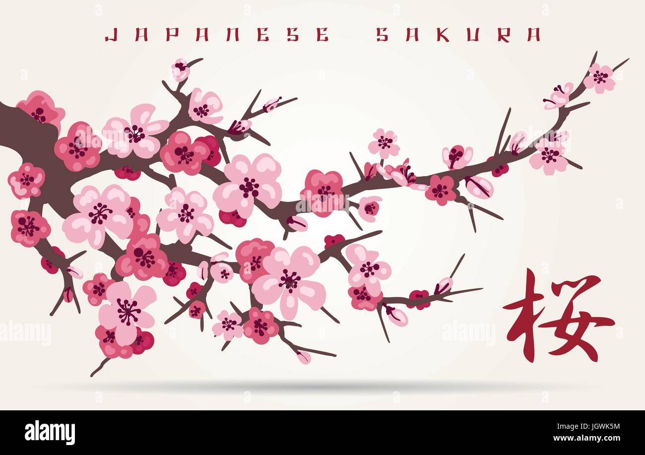 Le Japon cherry blossom tree branches illustration vectorielle. Carte d'invitation japonais avec asian blossoming plum branch Illustration de Vecteur