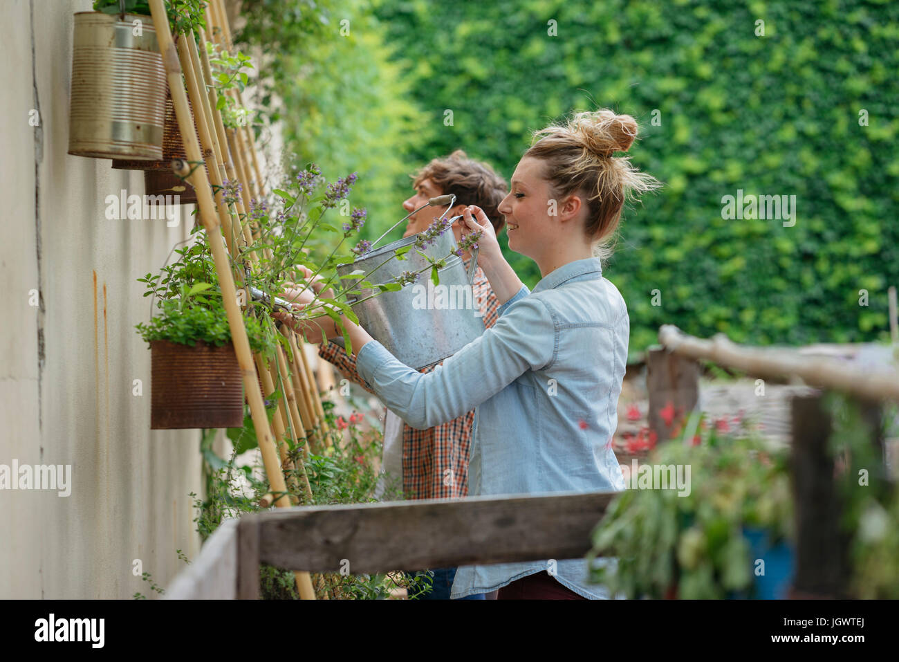 Jeune homme et femme ayant tendance à les plantes qui poussent dans des boîtes, jeune femme l'arrosage des plantes à l'aide d'arrosoir Banque D'Images