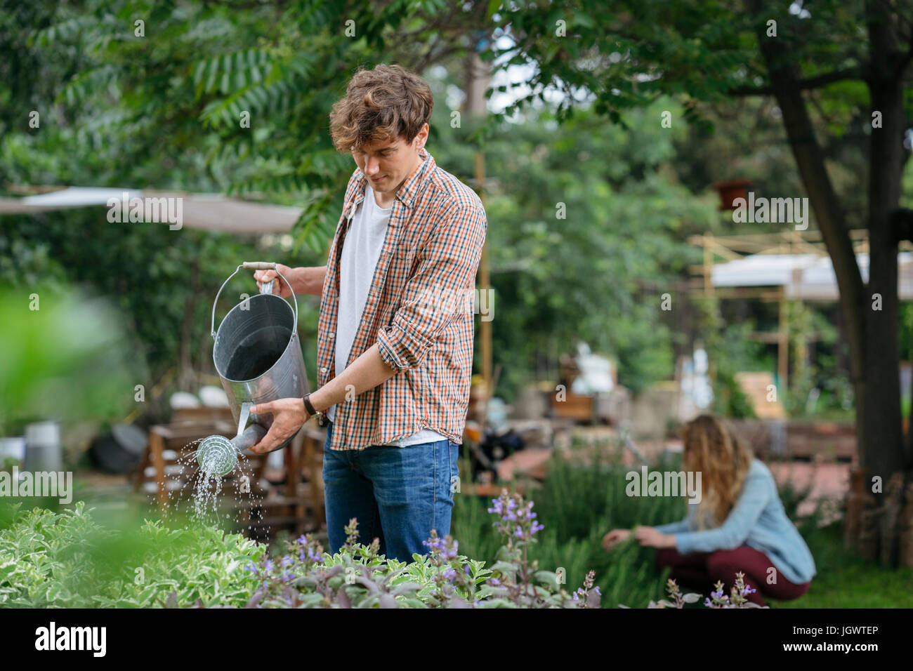 Jeune homme et femme ayant tendance à les plantes de jardin urbain, l'homme l'arrosage des plantes à l'aide d'arrosoir Banque D'Images
