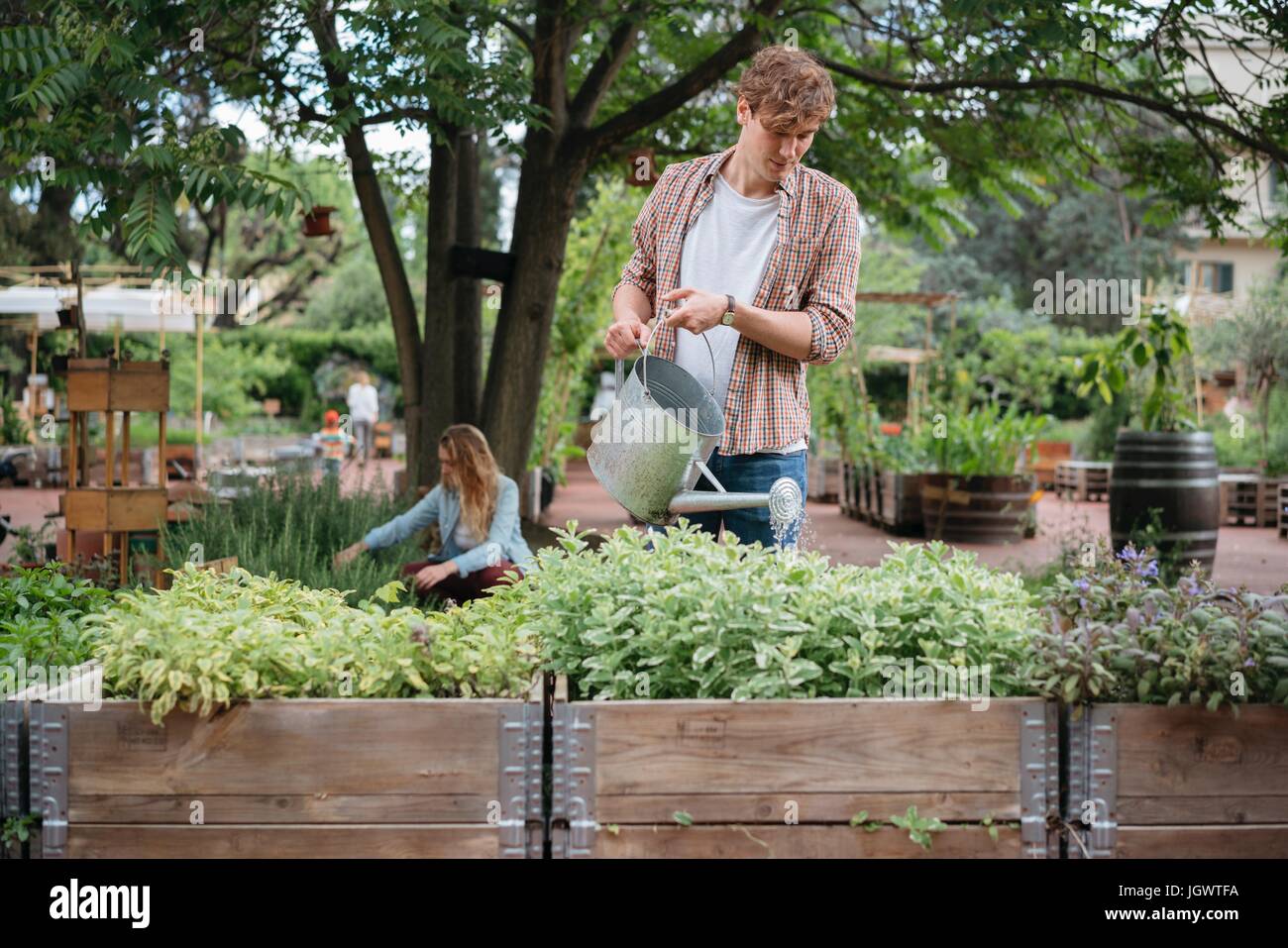Jeune homme et femme en jardin urbain, d'un jeune homme l'arrosage des plantes à l'aide d'arrosoir auge Banque D'Images