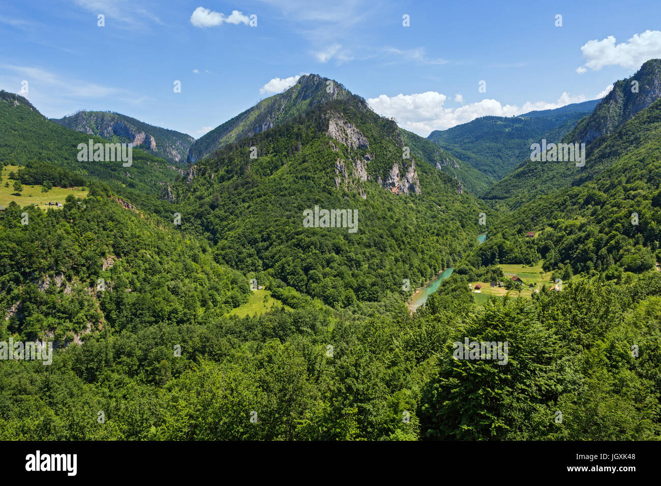 Beau canyon de la rivière Tara au Monténégro Banque D'Images