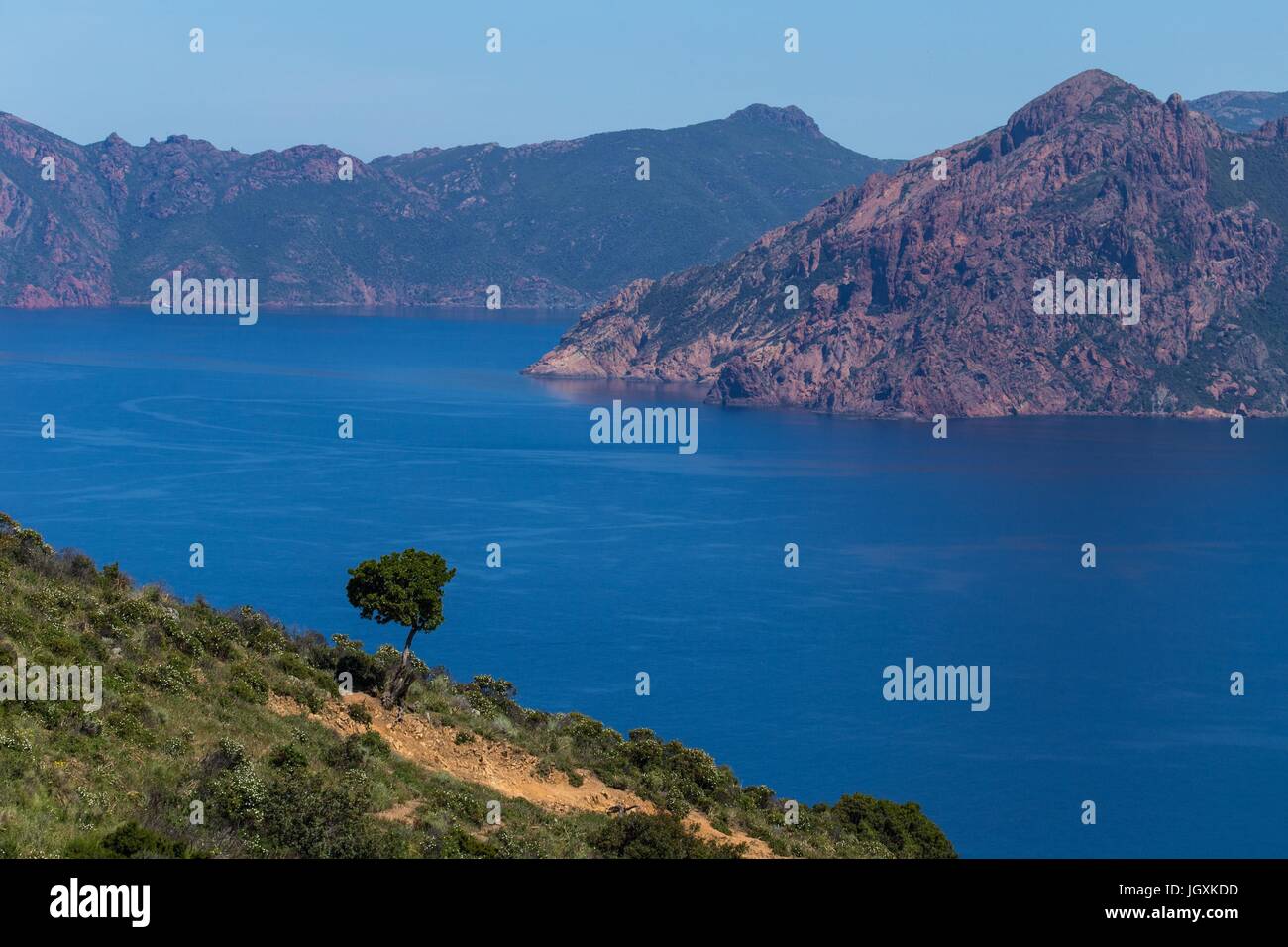 ILLUSTRATION DE Corse-du-Sud (2A), FRANCE Banque D'Images