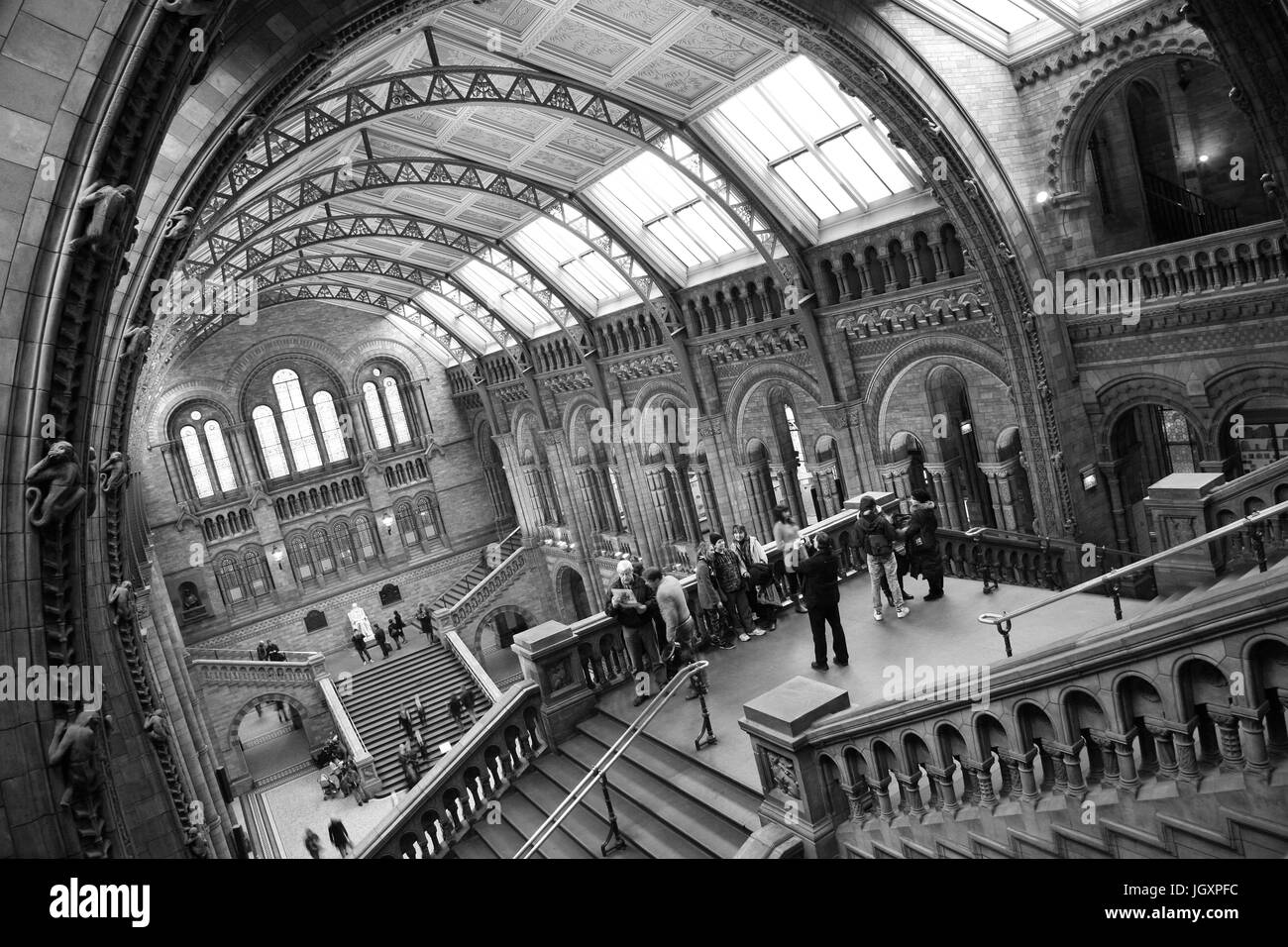 Londres, Royaume-Uni - 11 janvier 2011 : vue de l'intérieur du Musée d'histoire naturelle, les visiteurs prennent des photos de groupe. Ce musée est l'un des plus préférés muse Banque D'Images