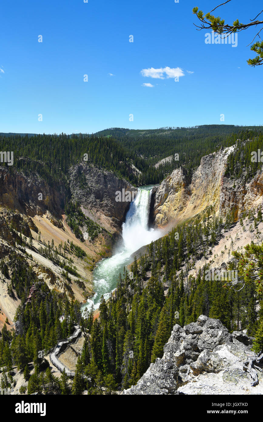 La Tombe inférieure du Grand Canyon de la Yellowstone River, le Parc National de Yellowstone, Wyoming. Banque D'Images