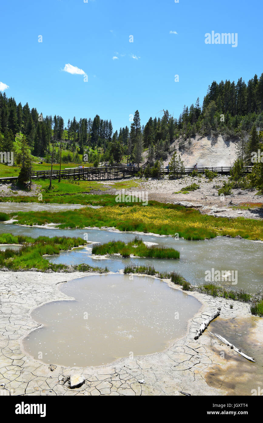 Le parc national de Yellowstone, Wyoming - 25 juin 2017 : les touristes sur la promenade dans la région du volcan de boue du parc. Banque D'Images