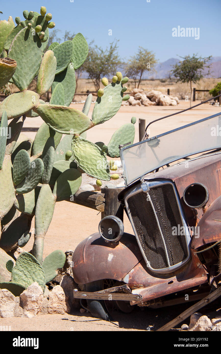 Voiture Rouillée Comme Décoration De Jardin Entre Les Cactus En Namibie  Image éditorial - Image du abandonné, arbres: 121856755