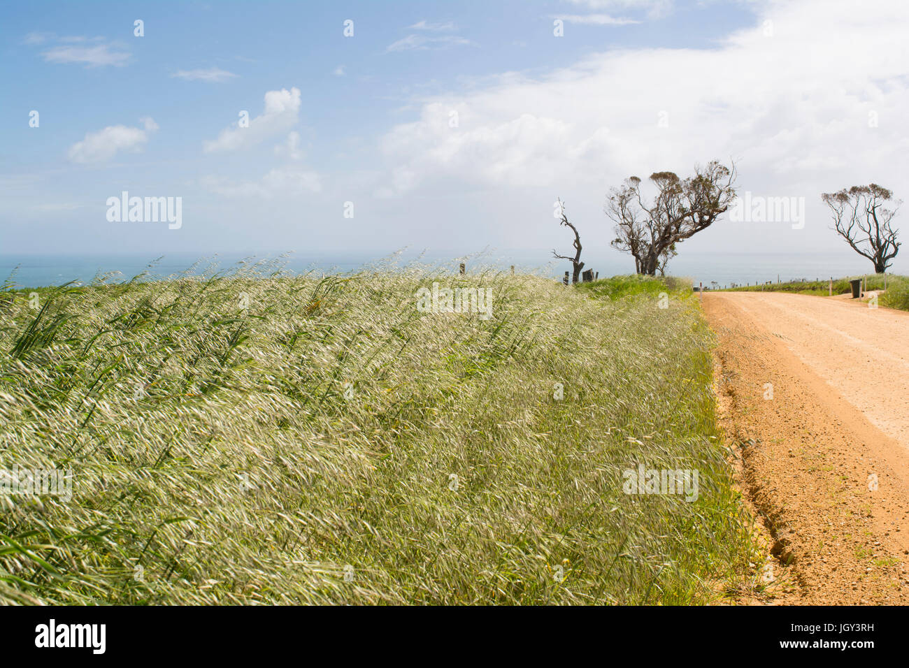 En regardant vers la côte du côté d'une route de terre graveleuse non typique près de Myponga dans la péninsule de Fleurieu, Australie du Sud. Banque D'Images