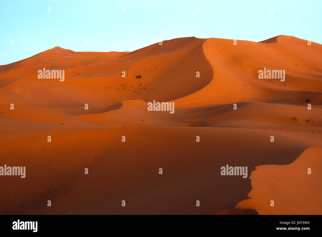 Dunes de sable du Sahara au coucher du soleil Banque D'Images