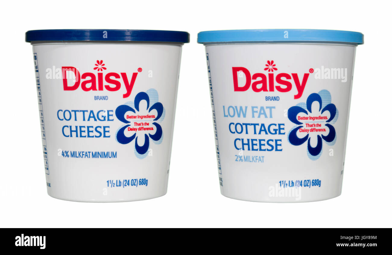 Une paire de fromage cottage daisy qui utilisent des récipients hauts en couleur pour le rendre facile de clients pour identifier les produits à faible teneur en matières grasses et les versions régulières. Banque D'Images
