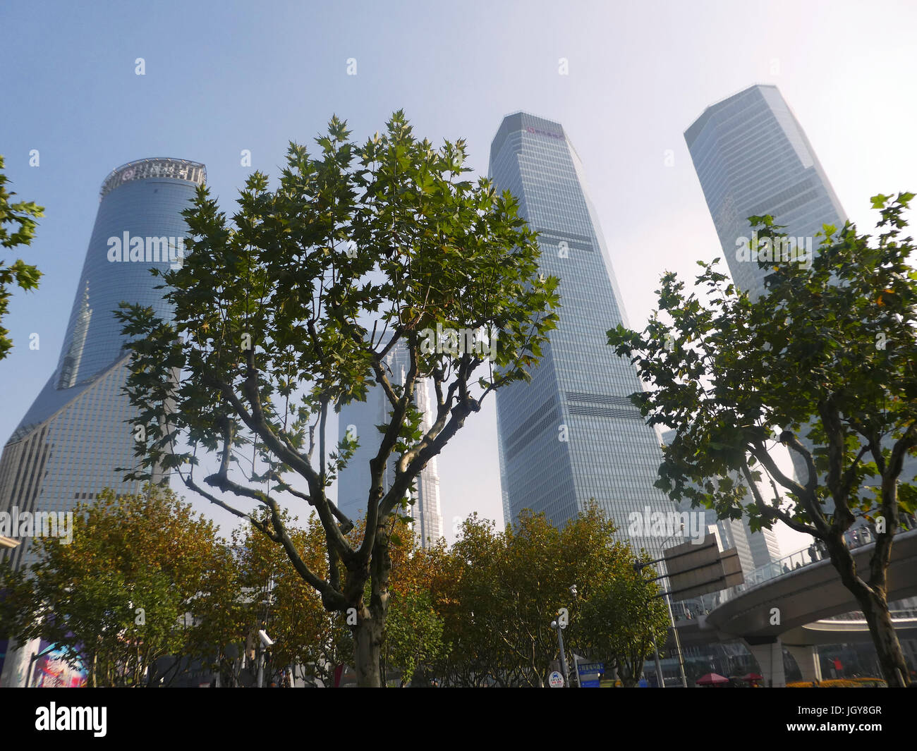 La Chine, la ville de Shanghai, Pudong District , Lujiazui, le World Financial Center, bâtiment Jinmao Tower, Shanghai. et derrière des arbres Banque D'Images
