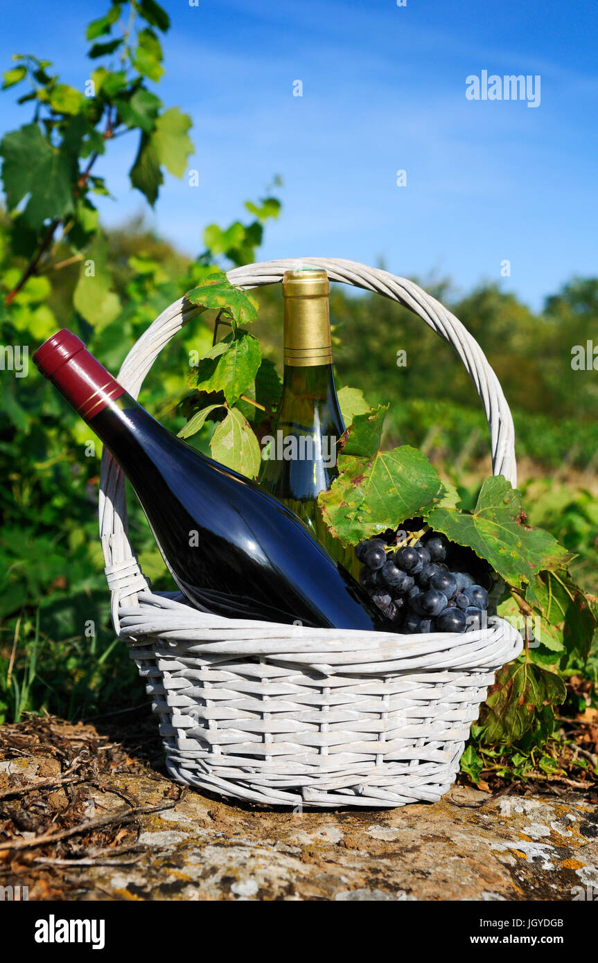 Verre et bouteille de vin et de cépages dans panier Banque D'Images