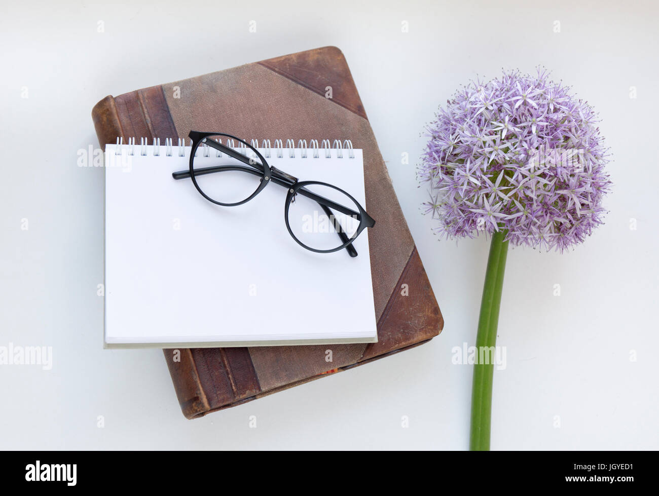 Maquette d'ordinateur portable pour l'oeuvre de pourpre et d'allium lunettes. Vue d'en haut. Place pour le texte. Des fleurs. Banque D'Images