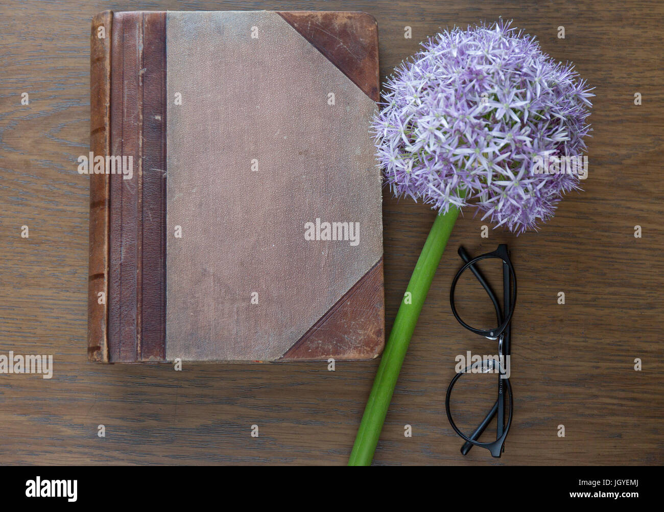 Maquette d'ordinateur portable pour l'oeuvre de pourpre et d'allium lunettes. Vue d'en haut. Place pour le texte. Des fleurs. Banque D'Images