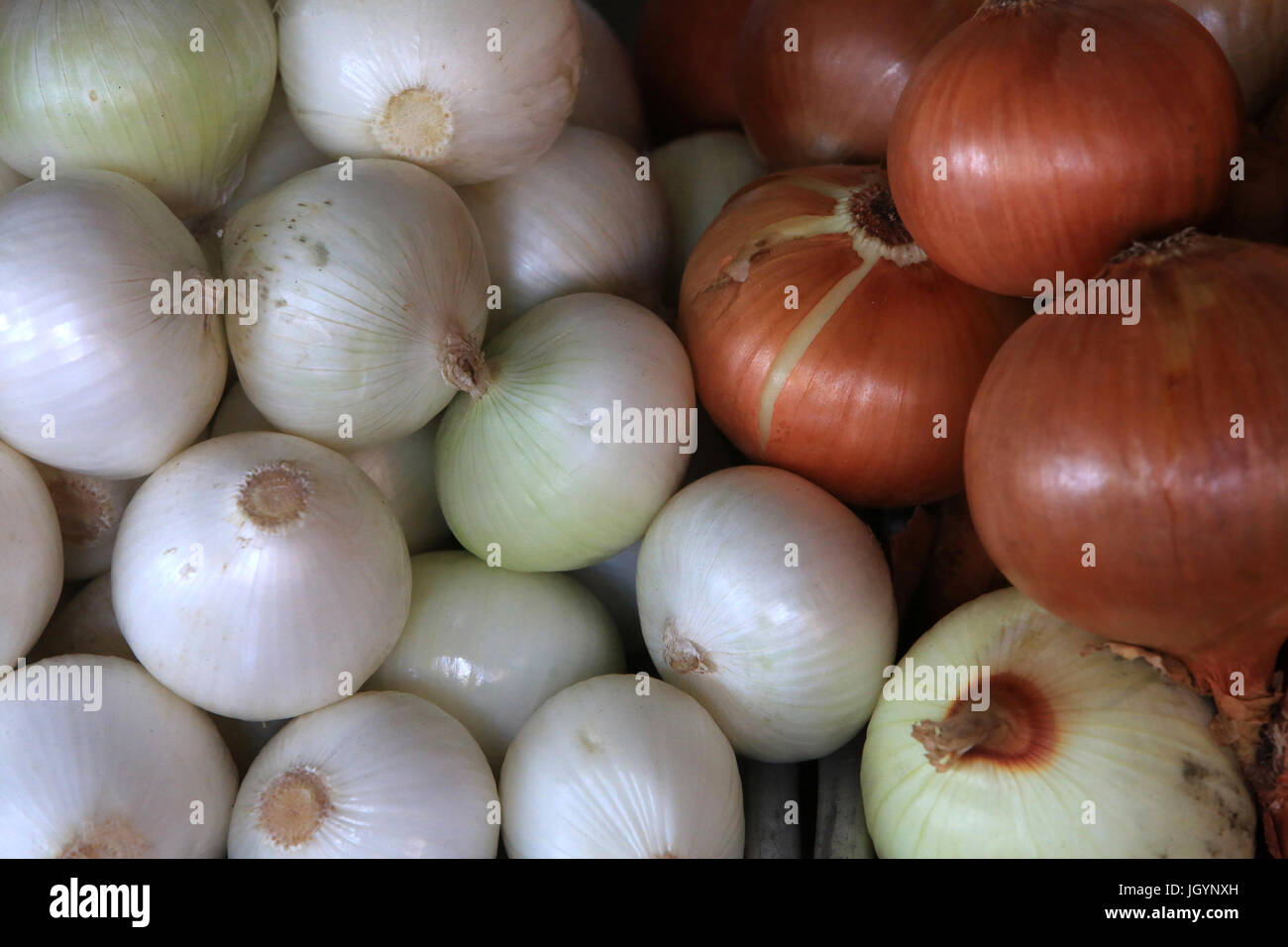 Les oignons. Marché couvert. Mina Marché de Fruits et légumes. Émirat d'Abu Dhabi. Banque D'Images