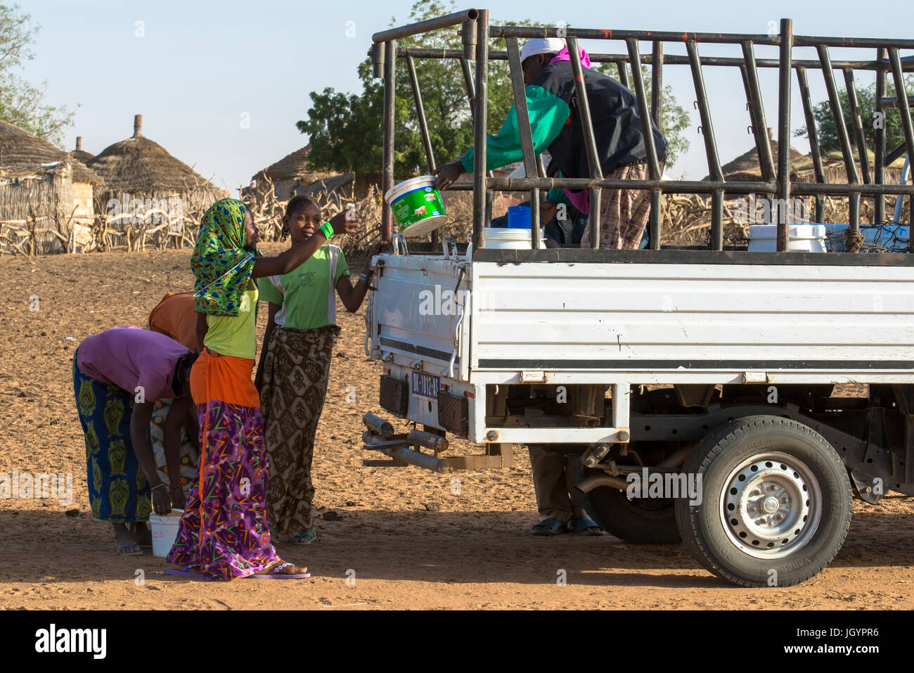 La collecte du lait par la Laiterie du Berger dairy company. Le Sénégal. Banque D'Images