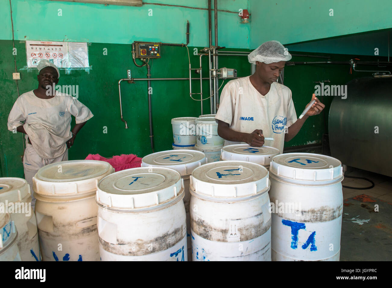 Le lait frais recueillis dans les villages peul est portée à l'usine laitière. La Laiterie du Berger company. Le Sénégal. Banque D'Images