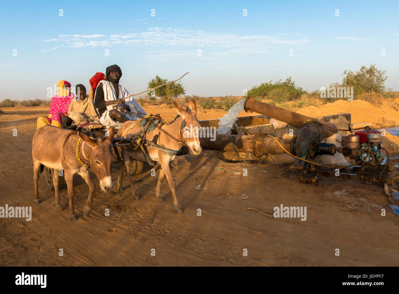 La famille sur une charrette à âne. Le Sénégal. Banque D'Images