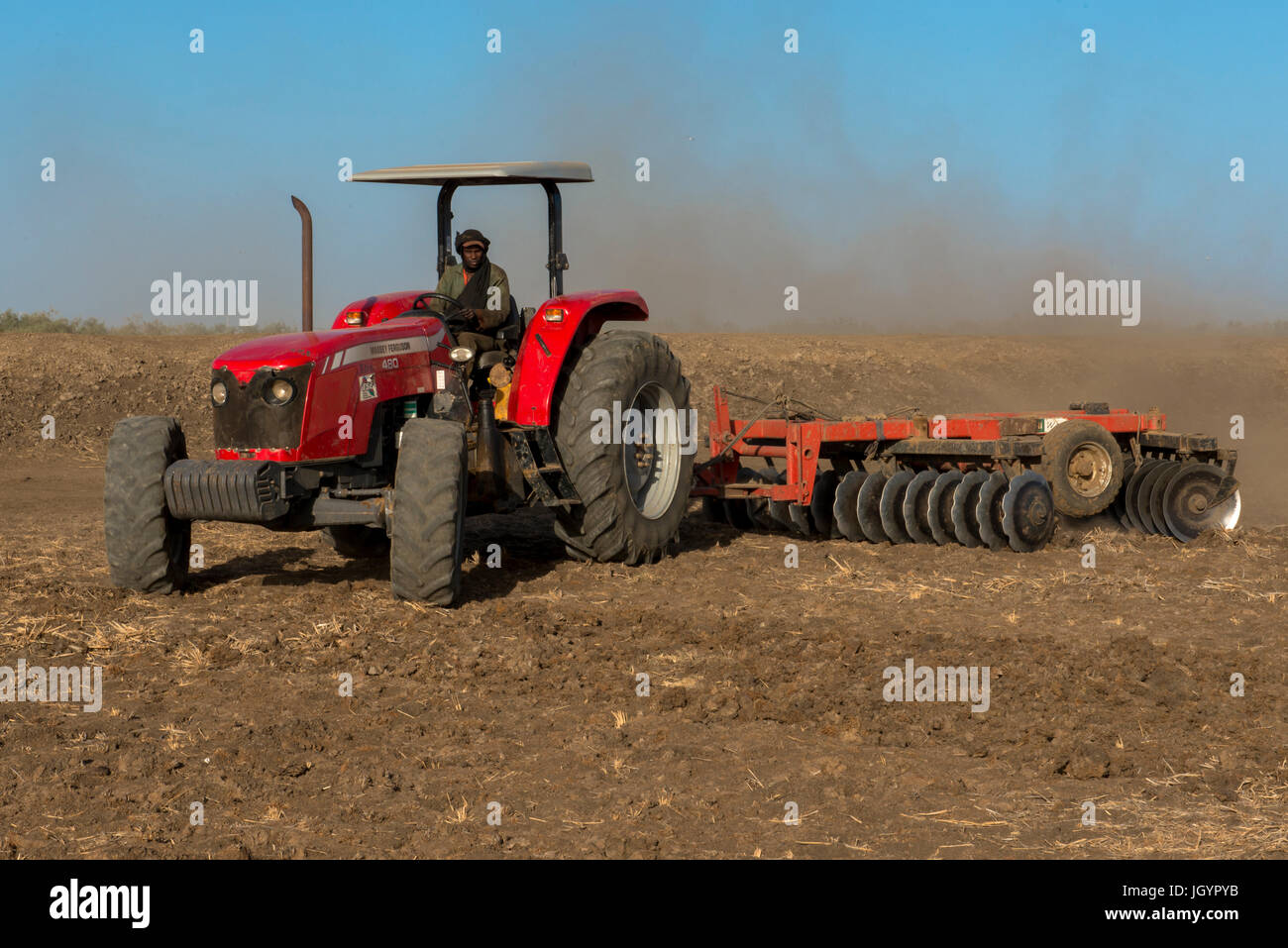 Le tracteur laboure un champ de riz. Le Sénégal. Banque D'Images