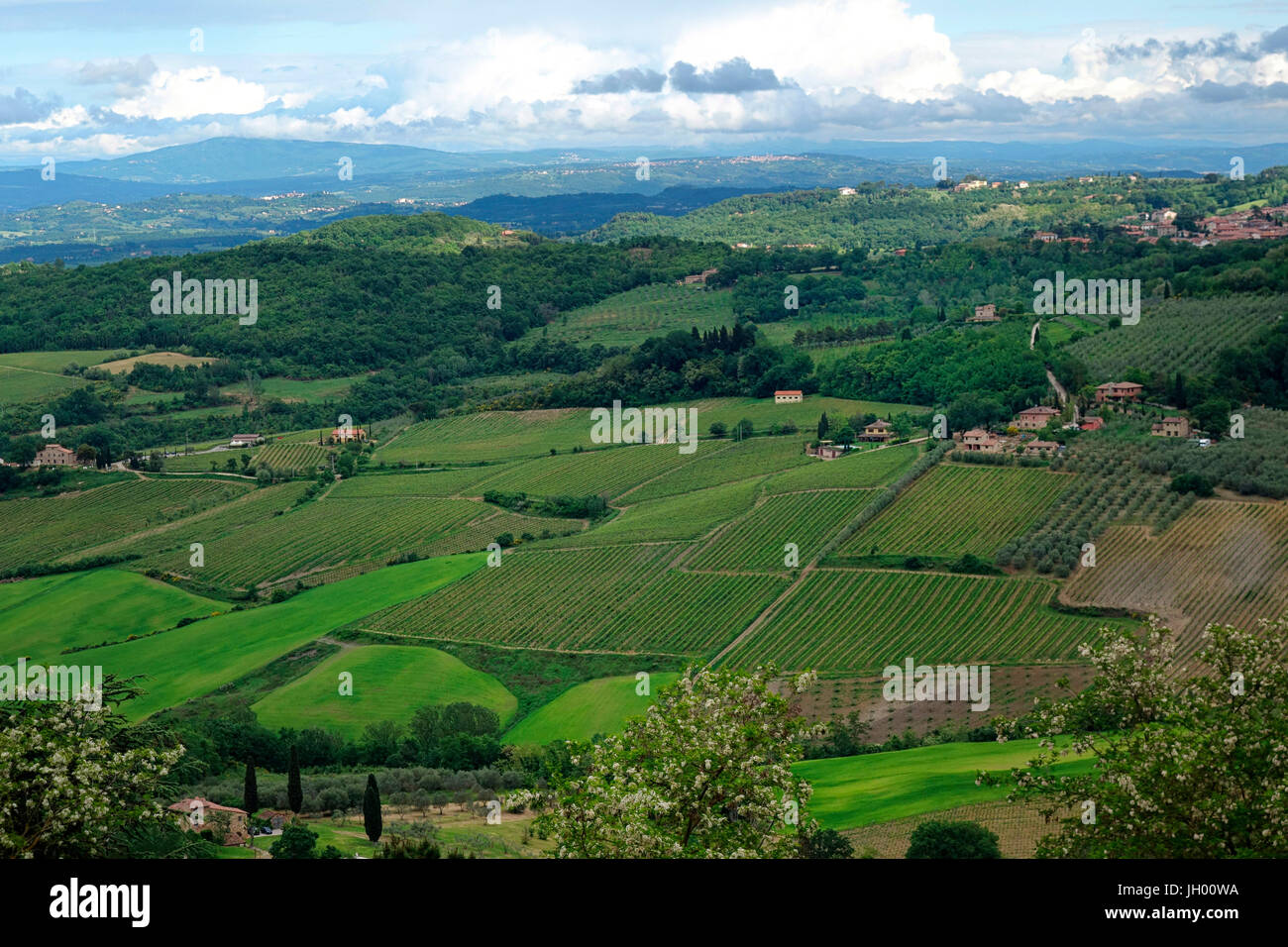 Sur les terres agricoles de Montepulciano, Toscane Banque D'Images