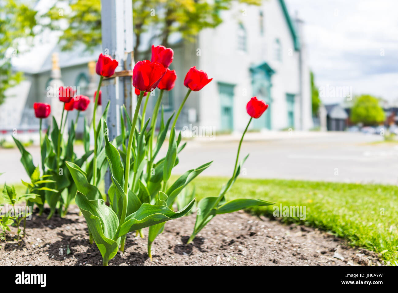 SaintAugustindeDesmaures, Canada le 29 mai 2017 Paroisse de