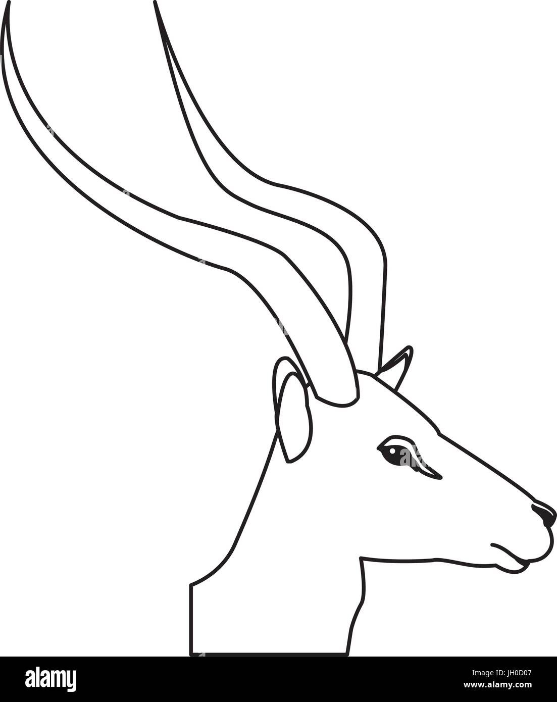 L'Afrique sauvage mammifère impala tête Illustration de Vecteur