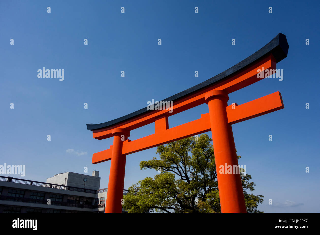 Fushimi Inari Taisha, Torii gates Banque D'Images