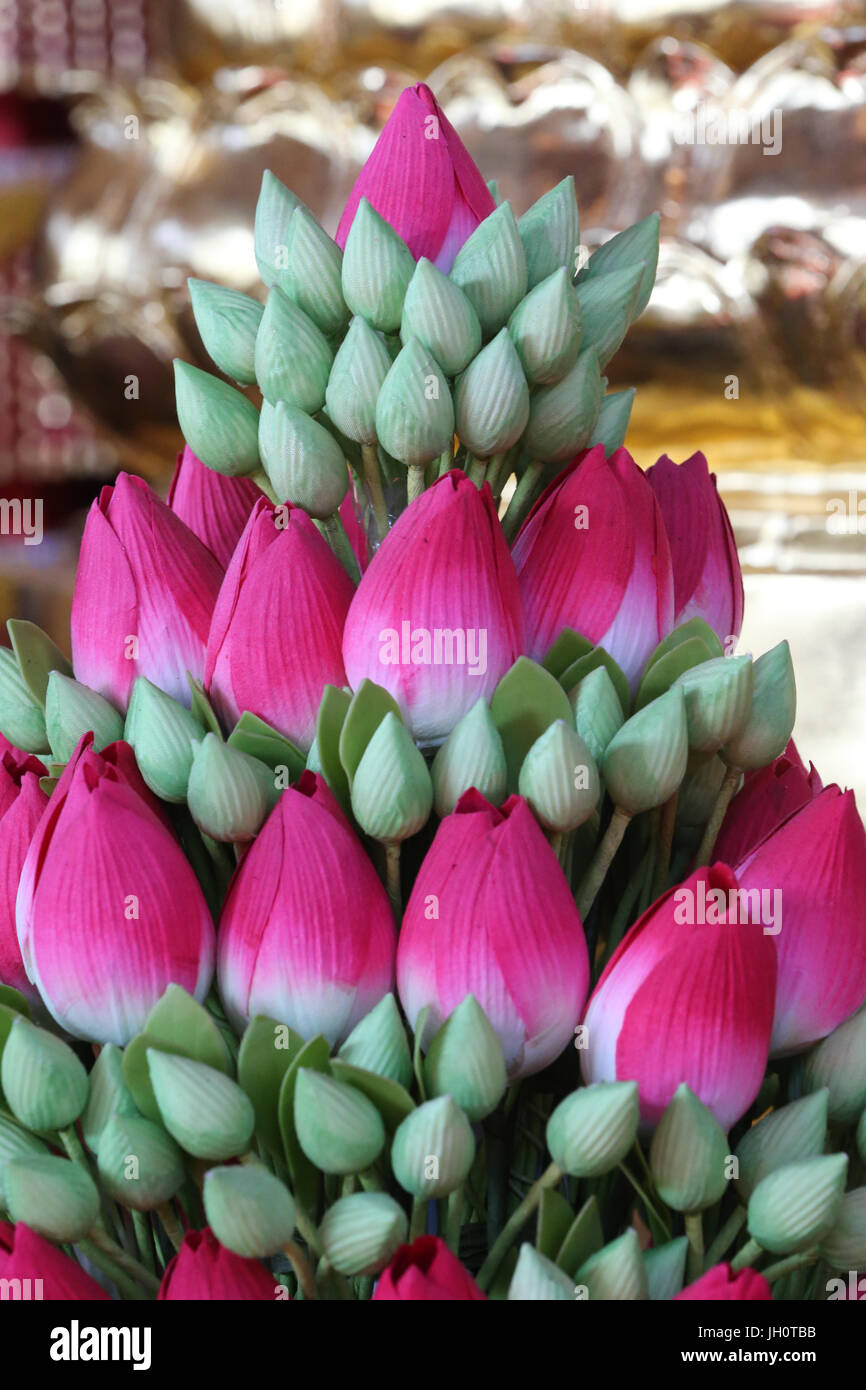 Des fleurs de lotus dans un temple bouddhiste. La France. Banque D'Images