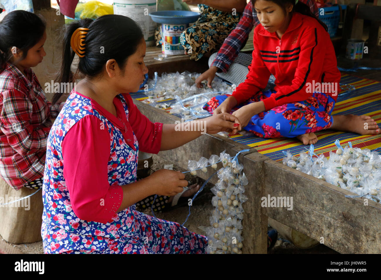 Pheap Toeub a reçu un prêt de 2 millions de Riel AMK la microfinance. Avec sa famille, elle packs 20 000 à 30 000 boules de poissons tous les jours. Le Cambodge. Banque D'Images
