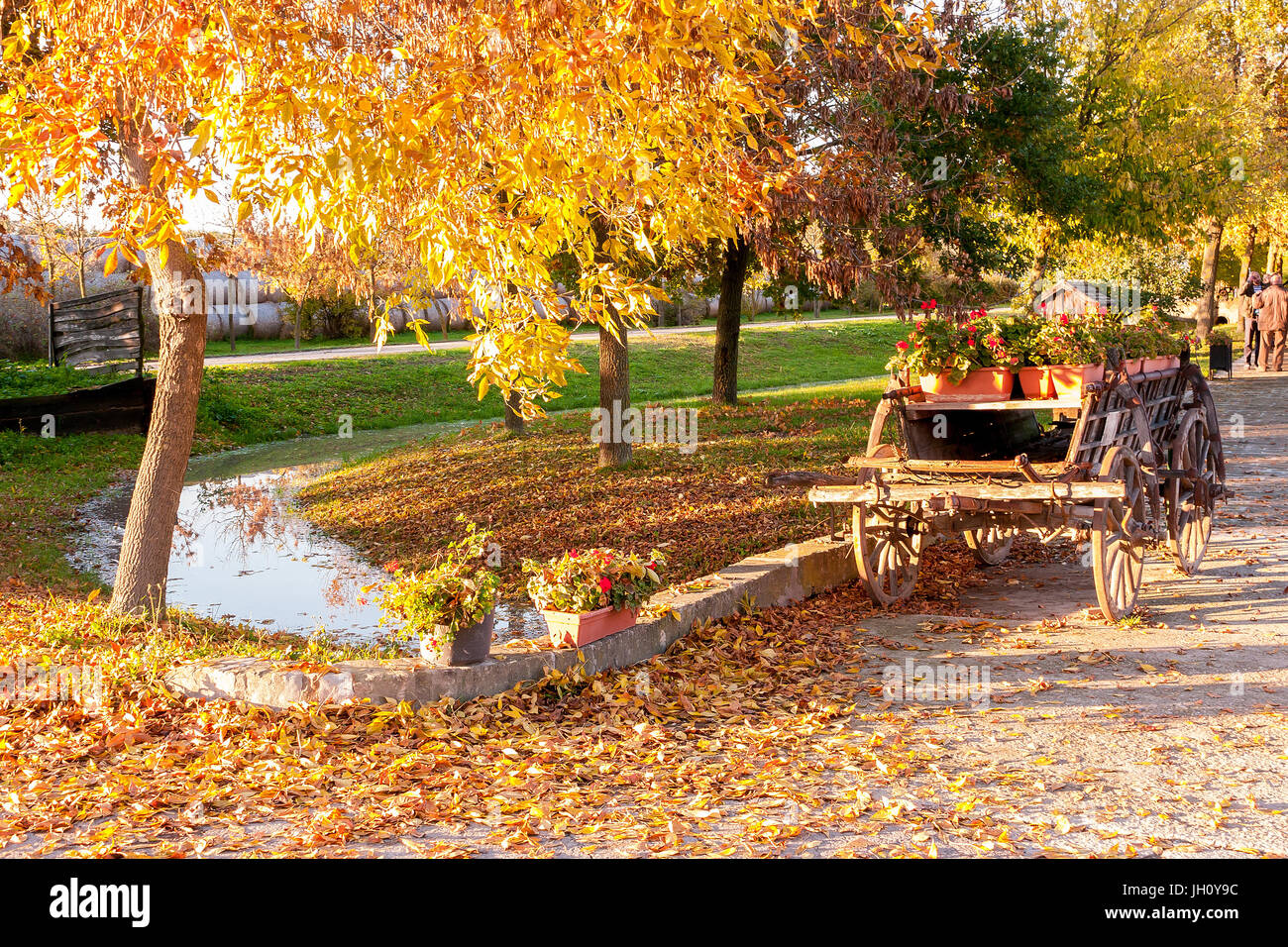 La couleur en automne avec une vieille ferme d'affichage, de chariot rempli de fleurs, d'un ruisseau dans une ferme traditionnelle à Kalocsa, Hongrie Banque D'Images