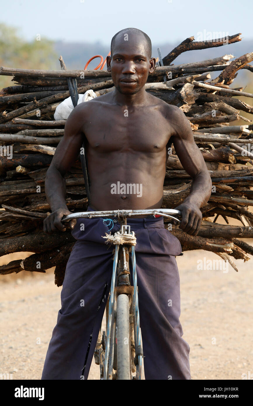 Une bicyclette ougandais chargé avec du bois. L'Ouganda. Banque D'Images