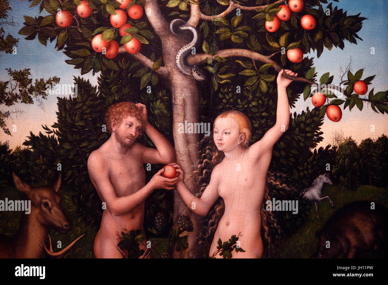 La Courtauld Gallery. Lucas Cranach l'ancien. Adam et Eve (détail). 1526. Huile sur panneau. United Kingdom. Banque D'Images