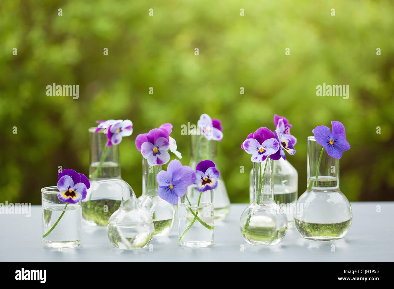 Fleur sur la verrerie en chimie, décoration de table de jardin Banque D'Images