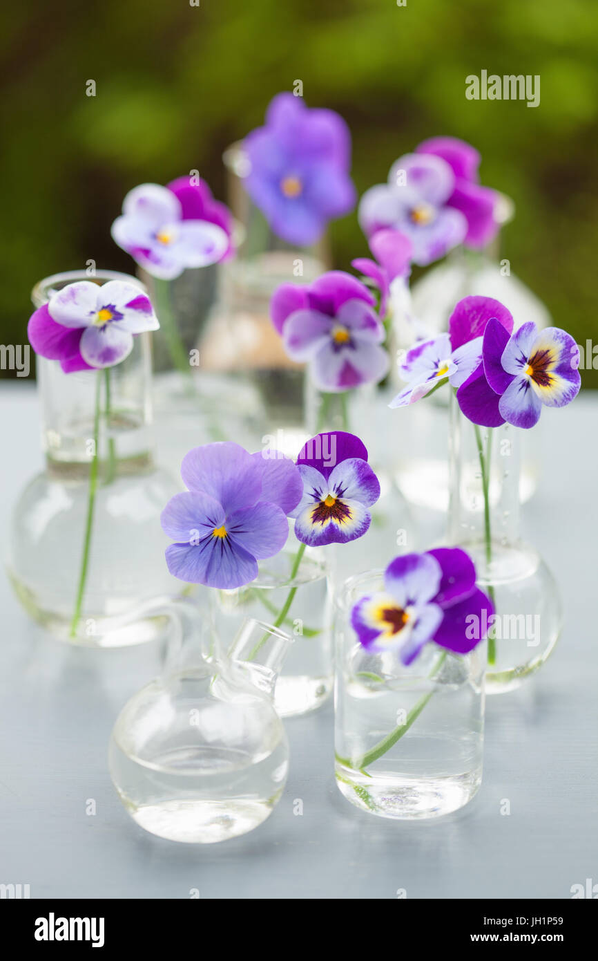Fleur sur la verrerie en chimie, décoration de table de jardin Banque D'Images