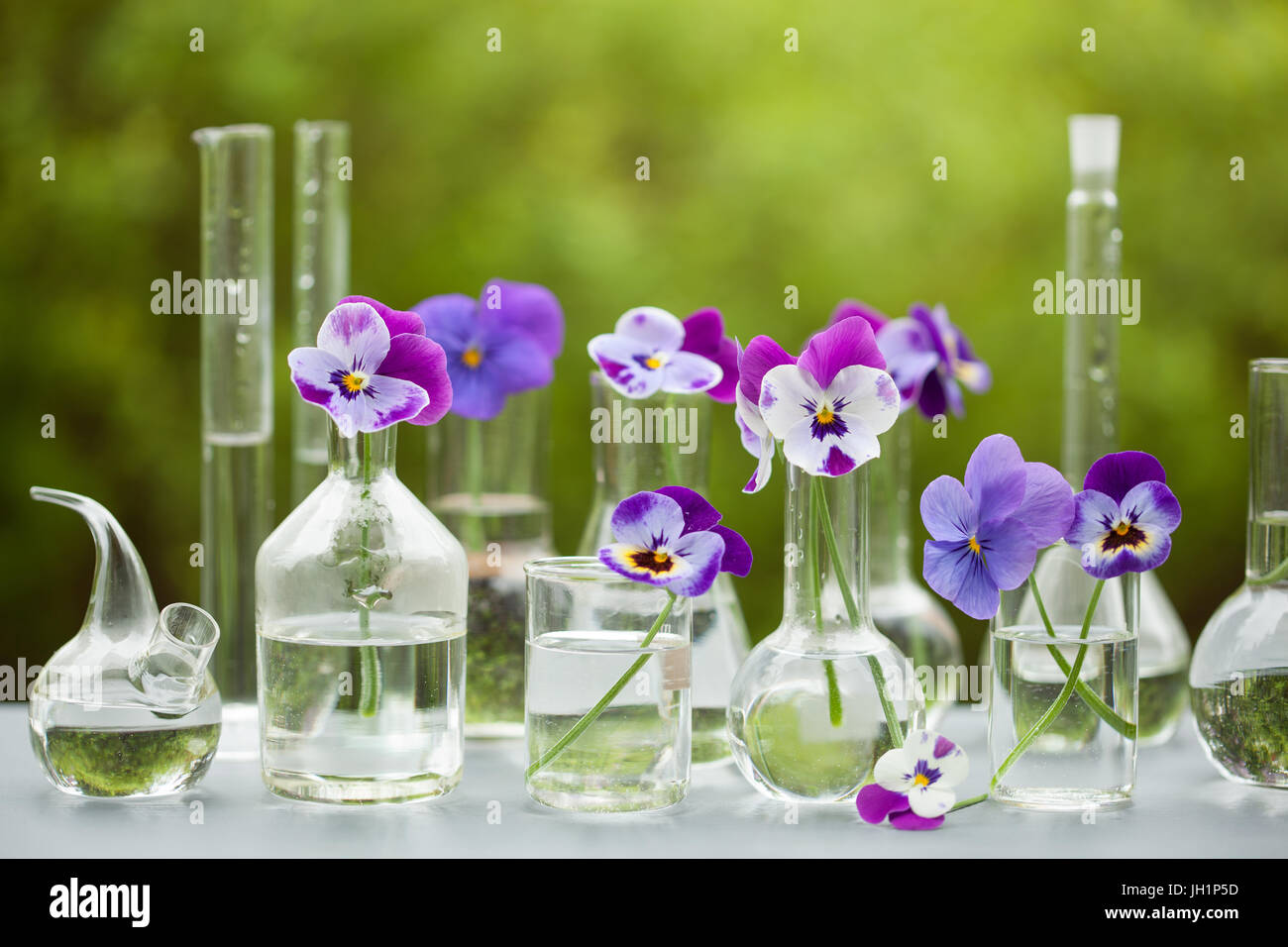 Fleur sur la verrerie en chimie, décoration de table de jardin Banque D'Images