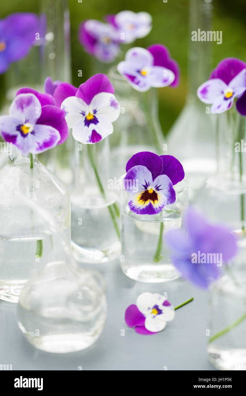 Fleur sur la verrerie en chimie, décoration de table de jardin Banque D'Images