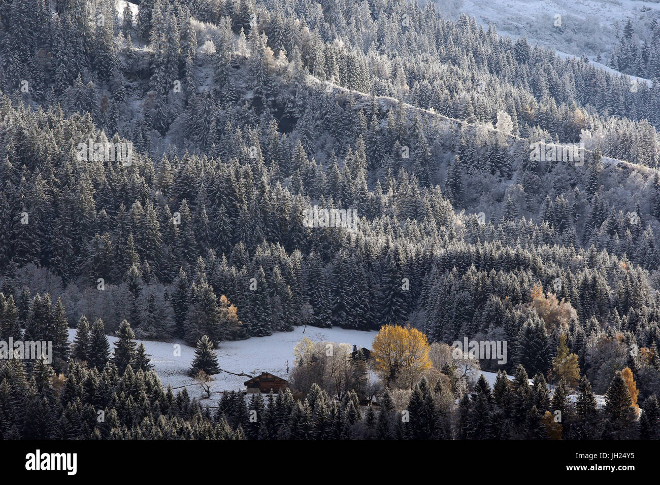 Alpes françaises. Massif du Mont Blanc. La France. Banque D'Images