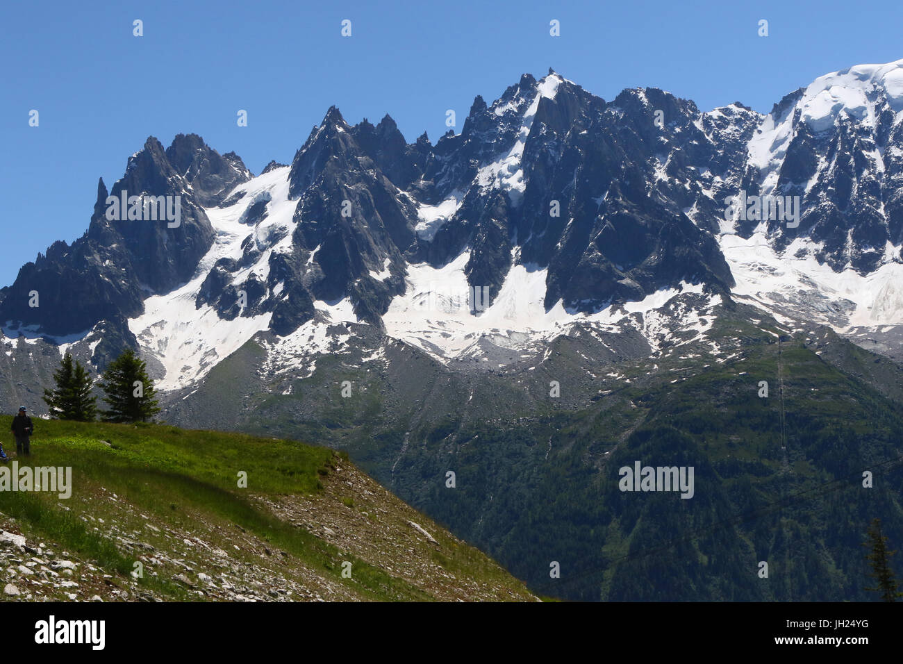 Alpes françaises. Massif du Mont Blanc. La France. Banque D'Images